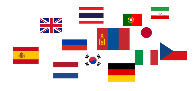 img home flag